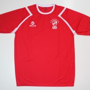 Camiseta Octavio Espinoza 2013