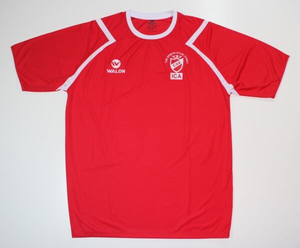 Camiseta Octavio Espinoza 2013