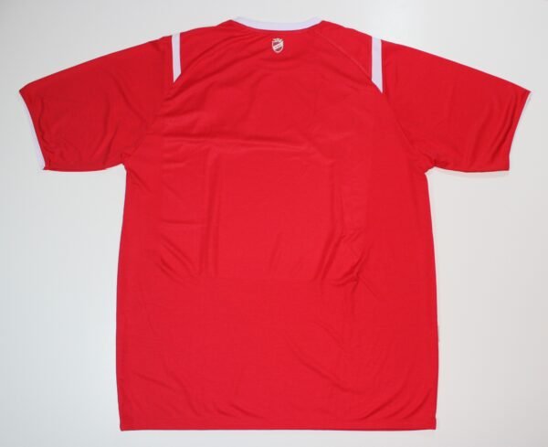 Camiseta Octavio Espinoza 2013 - Image 2