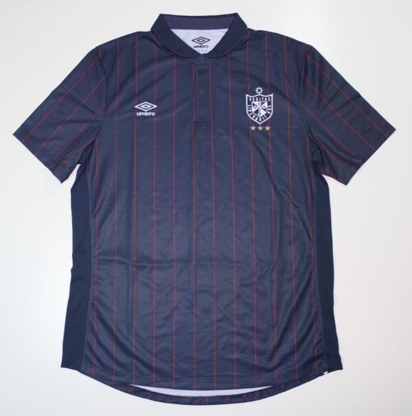 Camiseta Universidad San Martin Alterna 2014