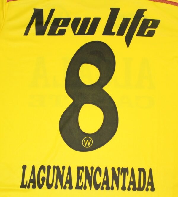 Camiseta Walter Ormeño Alterna 2013 - Image 3
